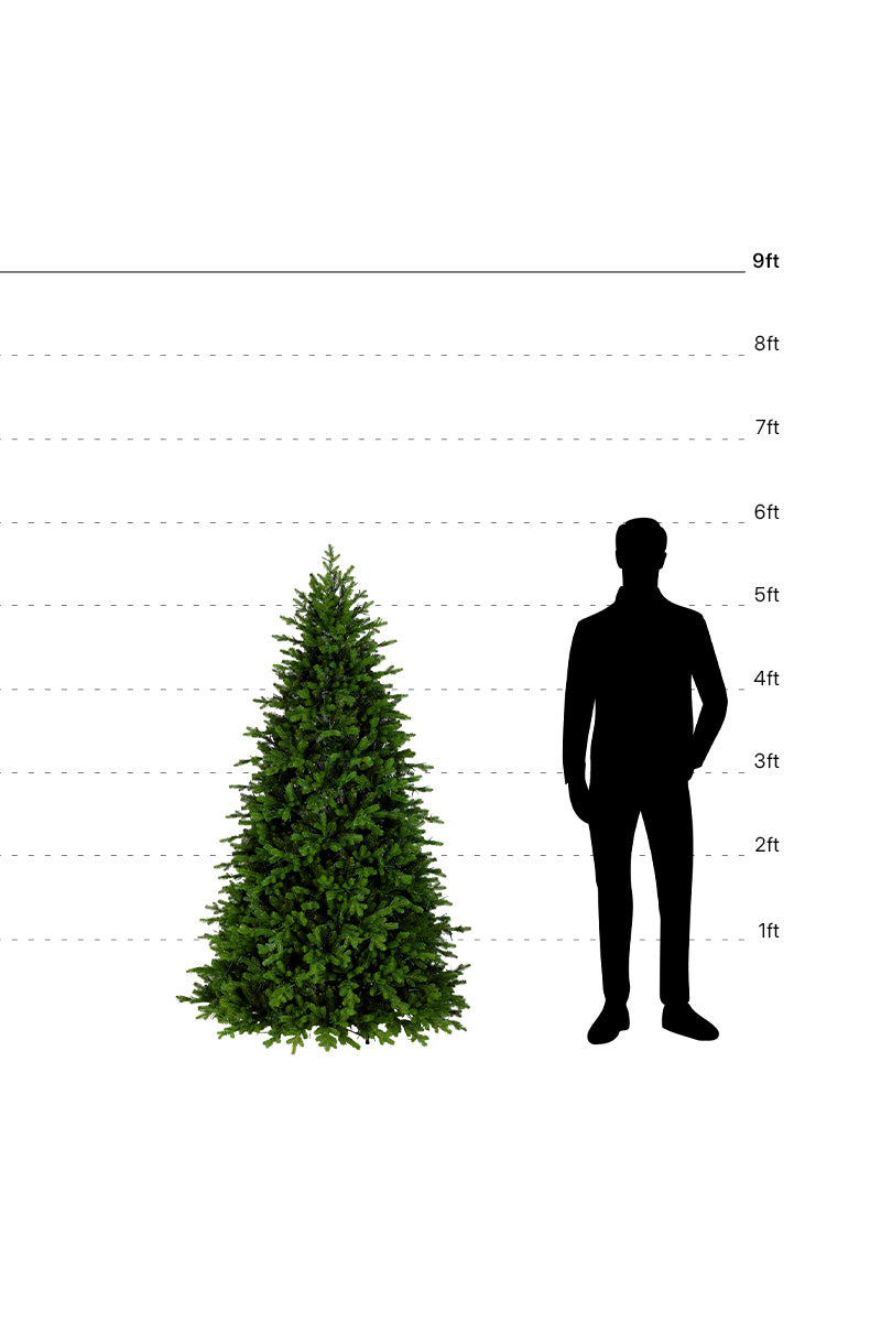 5ft-6ft Fraser Fir